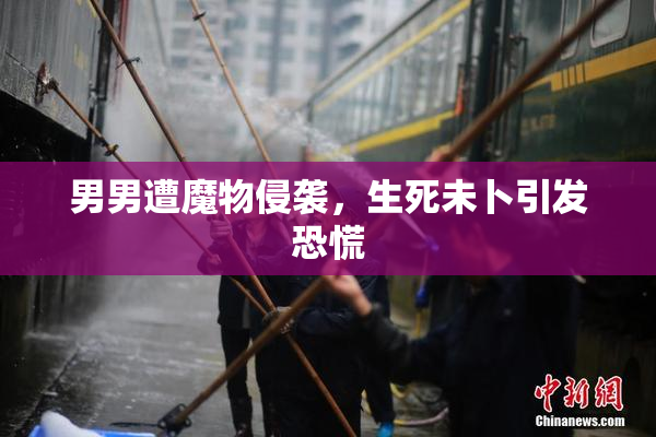男男遭魔物侵袭，生死未卜引发恐慌