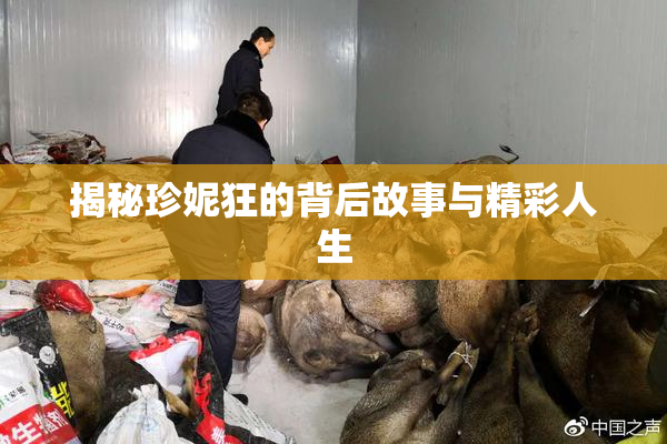 揭秘珍妮狂的背后故事与精彩人生