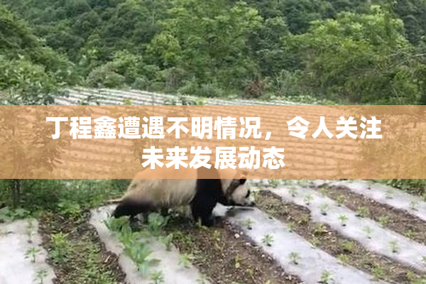 丁程鑫遭遇不明情况，令人关注未来发展动态