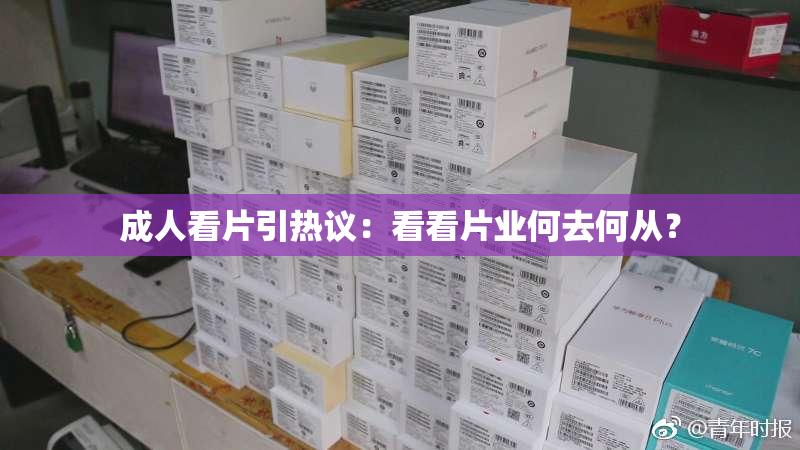成人看片引热议：看看片业何去何从？