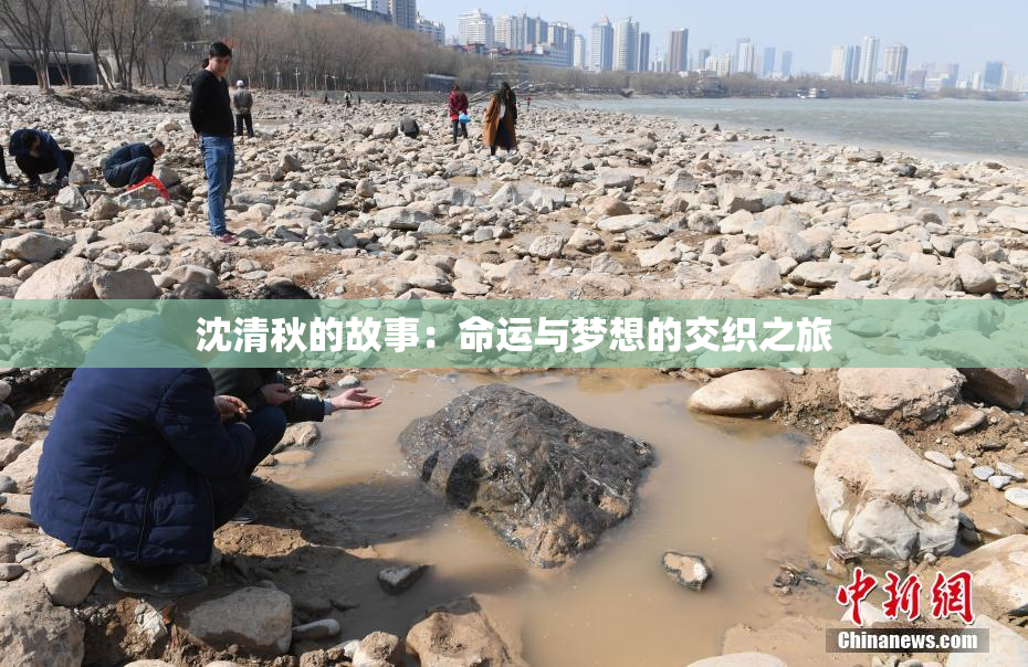 沈清秋的故事：命运与梦想的交织之旅