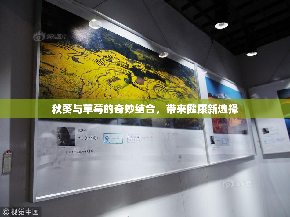 秋葵与草莓的奇妙结合，带来健康新选择