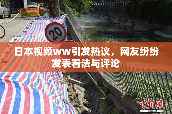 日本视频ww引发热议，网友纷纷发表看法与评论