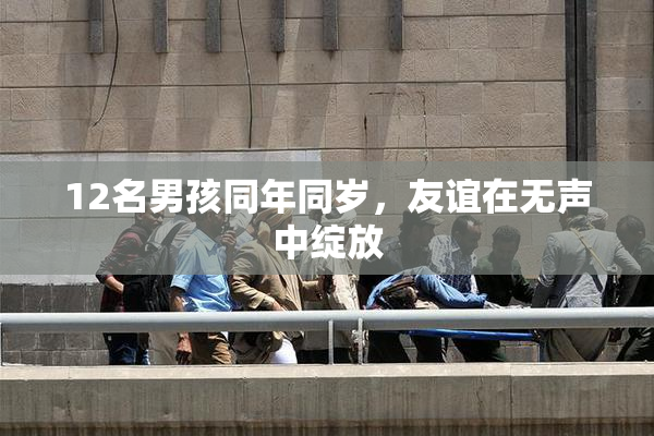12名男孩同年同岁，友谊在无声中绽放