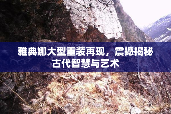 雅典娜大型重装再现，震撼揭秘古代智慧与艺术