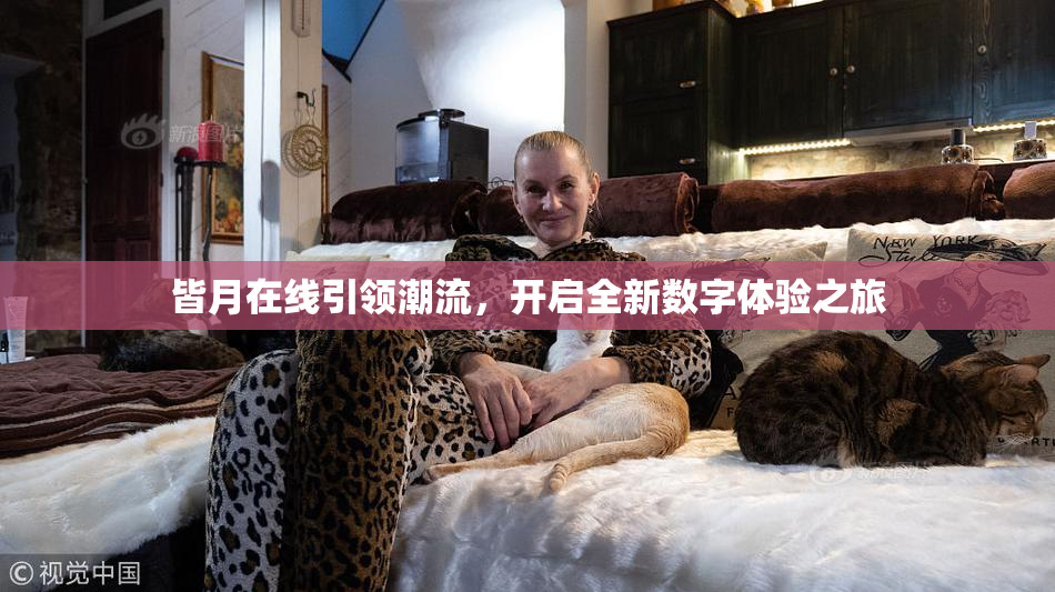 皆月在线引领潮流，开启全新数字体验之旅