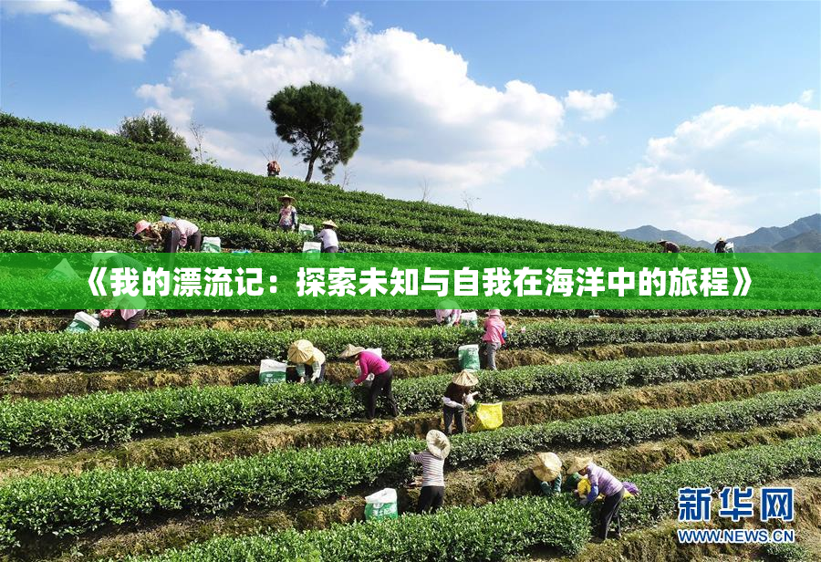 《我的漂流记：探索未知与自我在海洋中的旅程》