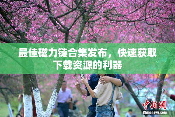 最佳磁力链合集发布，快速获取下载资源的利器