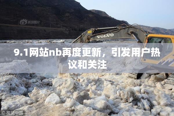 9.1网站nb再度更新，引发用户热议和关注