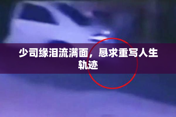 少司缘泪流满面，恳求重写人生轨迹
