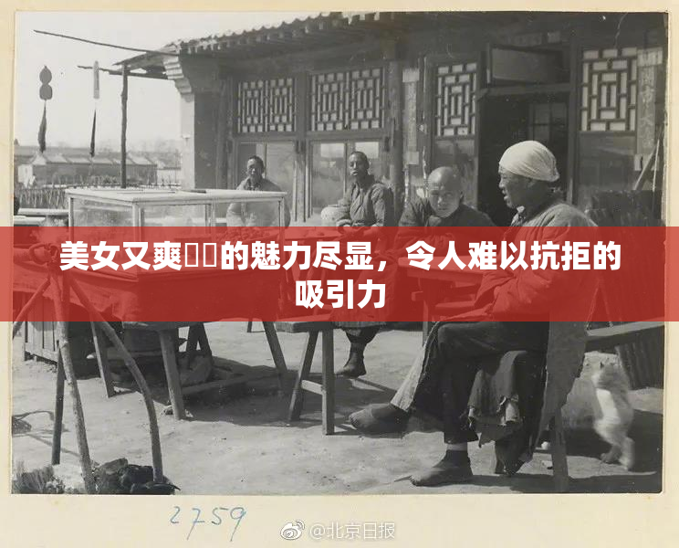 美女又爽❌‌的魅力尽显，令人难以抗拒的吸引力