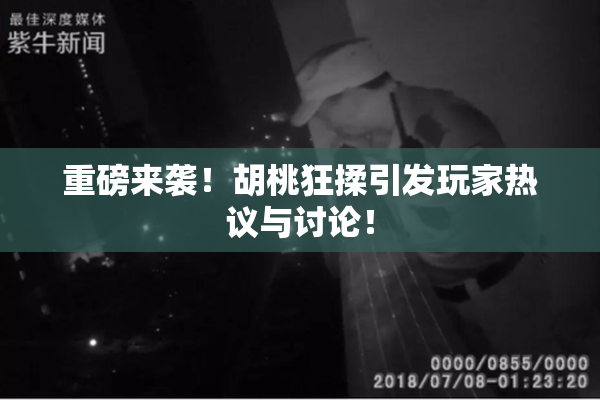 重磅来袭！胡桃狂揉引发玩家热议与讨论！