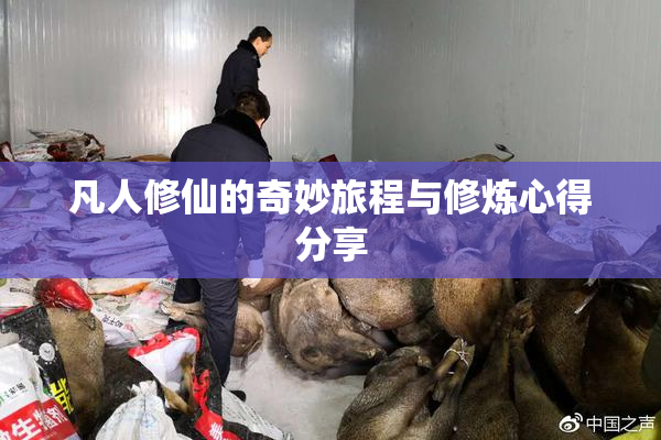 凡人修仙的奇妙旅程与修炼心得分享
