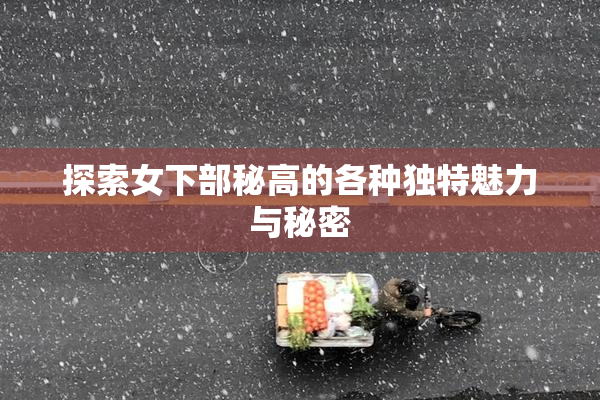 探索女下部秘高的各种独特魅力与秘密