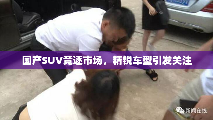 国产SUV竞逐市场，精锐车型引发关注