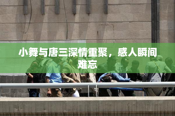 小舞与唐三深情重聚，感人瞬间难忘