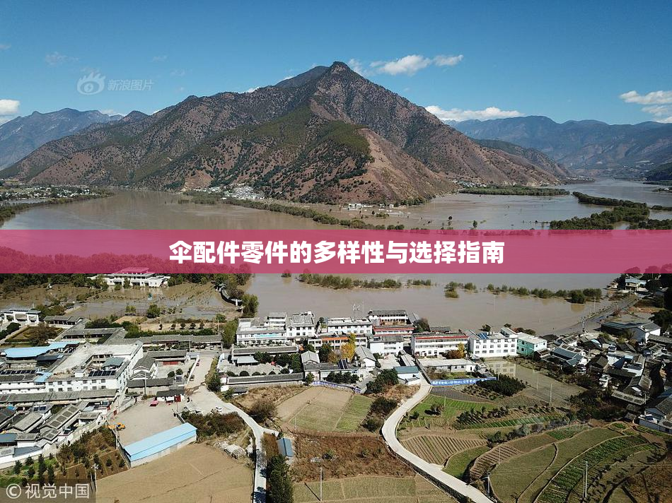 伞配件零件的多样性与选择指南