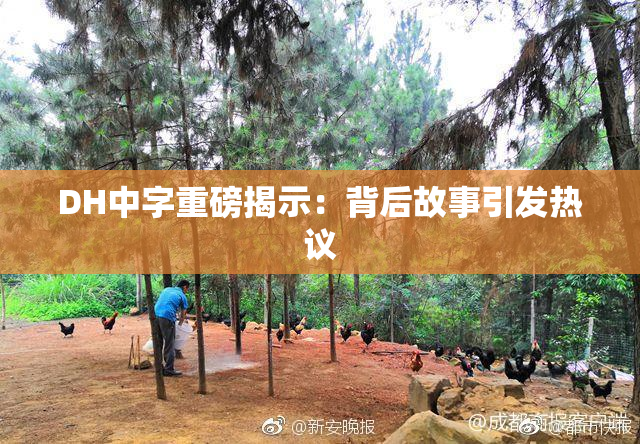 DH中字重磅揭示：背后故事引发热议