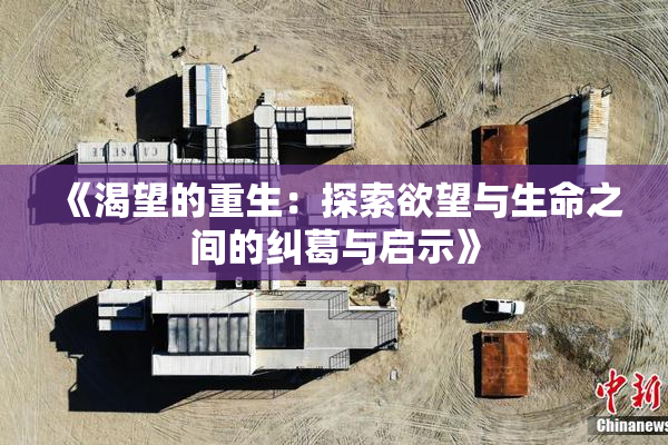 《渴望的重生：探索欲望与生命之间的纠葛与启示》