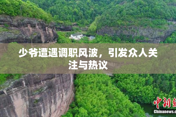 少爷遭遇调职风波，引发众人关注与热议