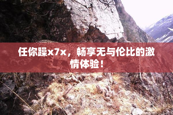 任你躁x7x，畅享无与伦比的激情体验！