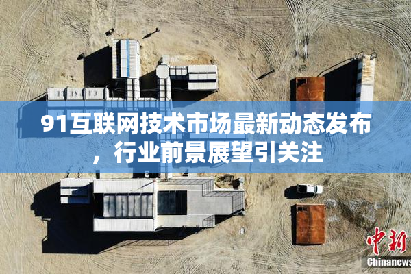 91互联网技术市场最新动态发布，行业前景展望引关注