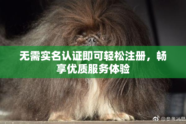 无需实名认证即可轻松注册，畅享优质服务体验