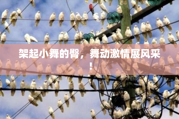 架起小舞的臀，舞动激情展风采！