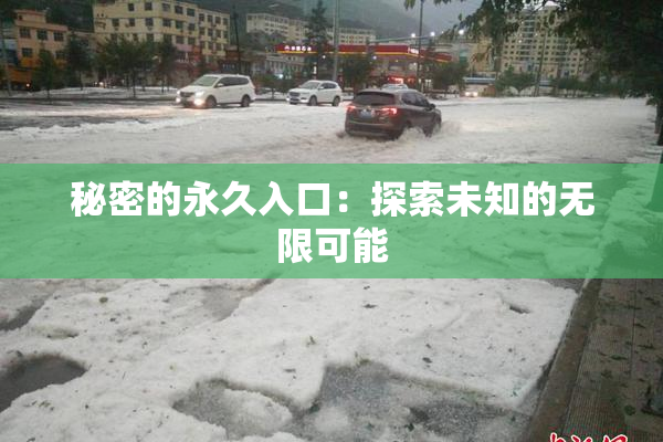 秘密的永久入口：探索未知的无限可能