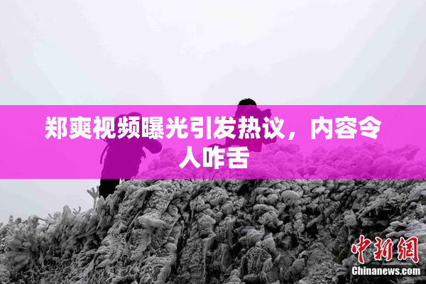 郑爽视频曝光引发热议，内容令人咋舌