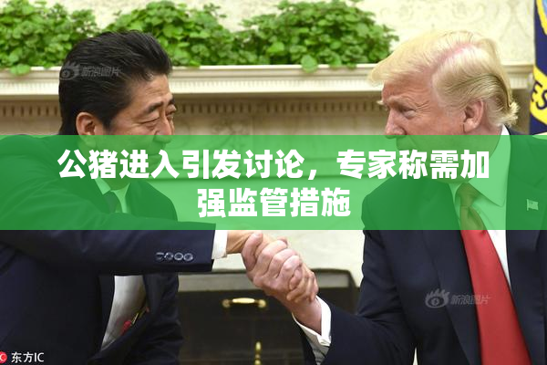 公猪进入引发讨论，专家称需加强监管措施