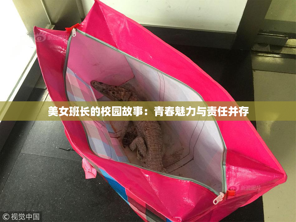 美女班长的校园故事：青春魅力与责任并存