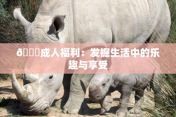 🔞成人福利：发掘生活中的乐趣与享受