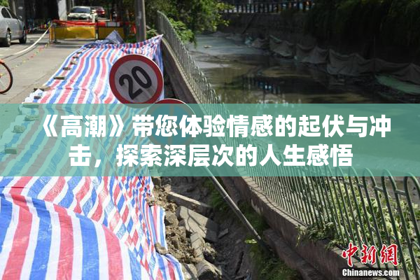《高潮》带您体验情感的起伏与冲击，探索深层次的人生感悟