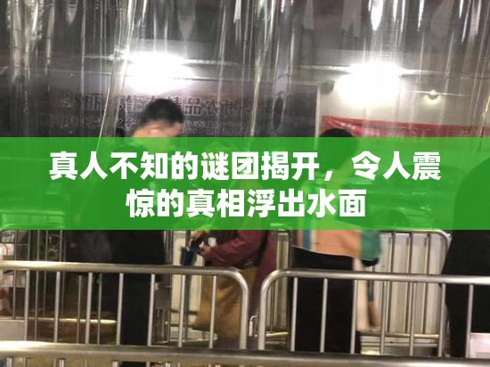真人不知的谜团揭开，令人震惊的真相浮出水面