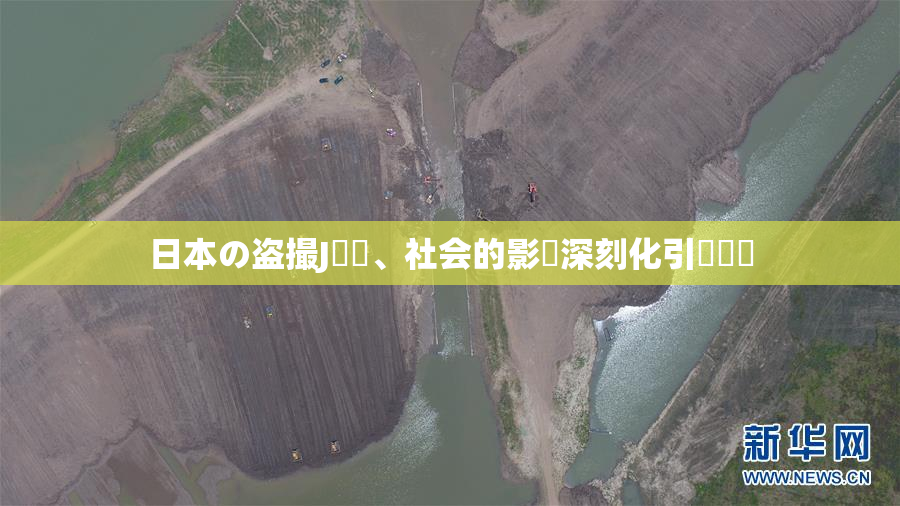 日本の盗撮J問題、社会的影響深刻化引発議論