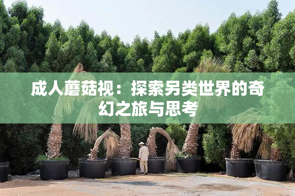 成人蘑菇视：探索另类世界的奇幻之旅与思考