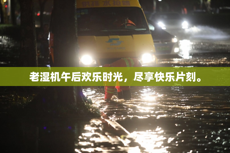 老湿机午后欢乐时光，尽享快乐片刻。