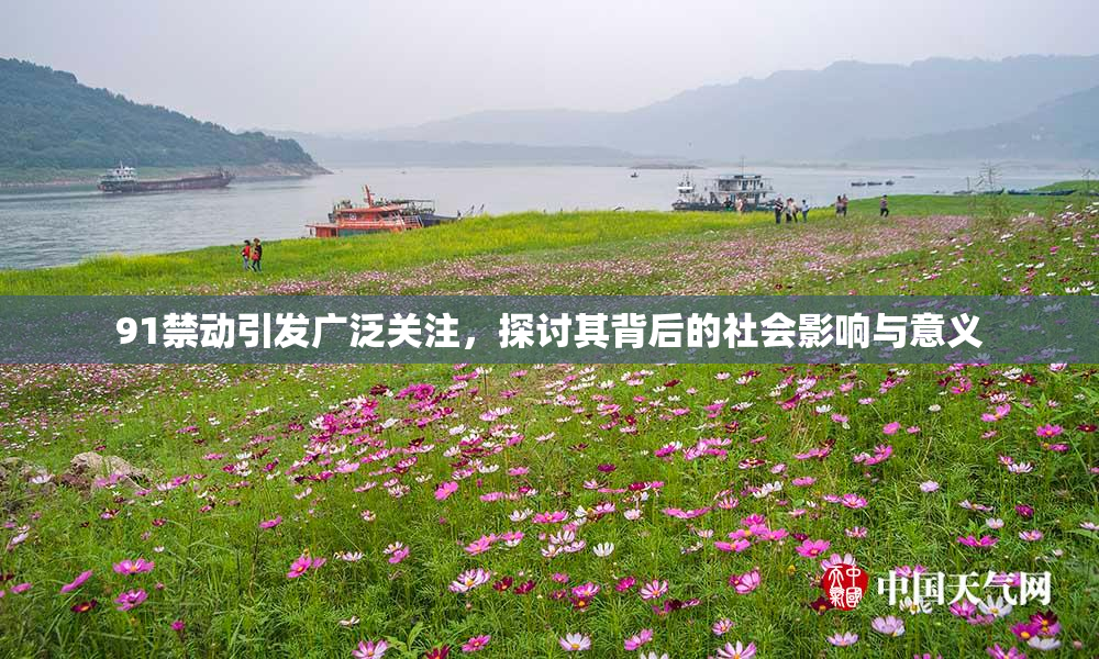 91禁动引发广泛关注，探讨其背后的社会影响与意义