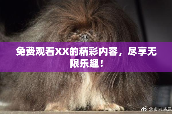 免费观看XX的精彩内容，尽享无限乐趣！