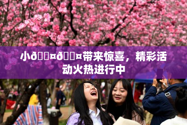 小🐤🐤带来惊喜，精彩活动火热进行中