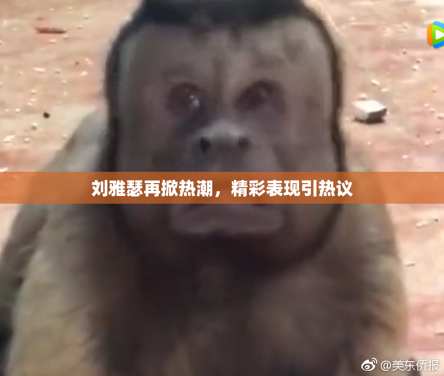 刘雅瑟再掀热潮，精彩表现引热议