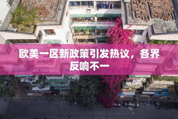 欧美一区新政策引发热议，各界反响不一