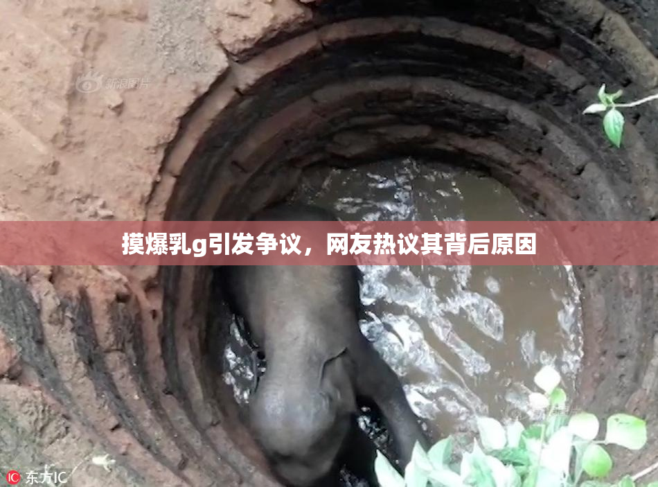 摸爆乳g引发争议，网友热议其背后原因
