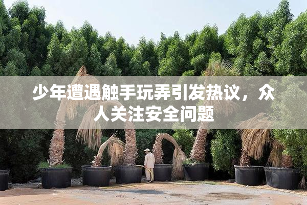 少年遭遇触手玩弄引发热议，众人关注安全问题
