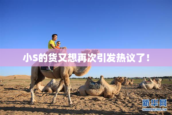 小S的货又想再次引发热议了！