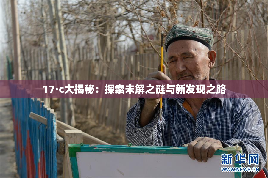 17·c大揭秘：探索未解之谜与新发现之路