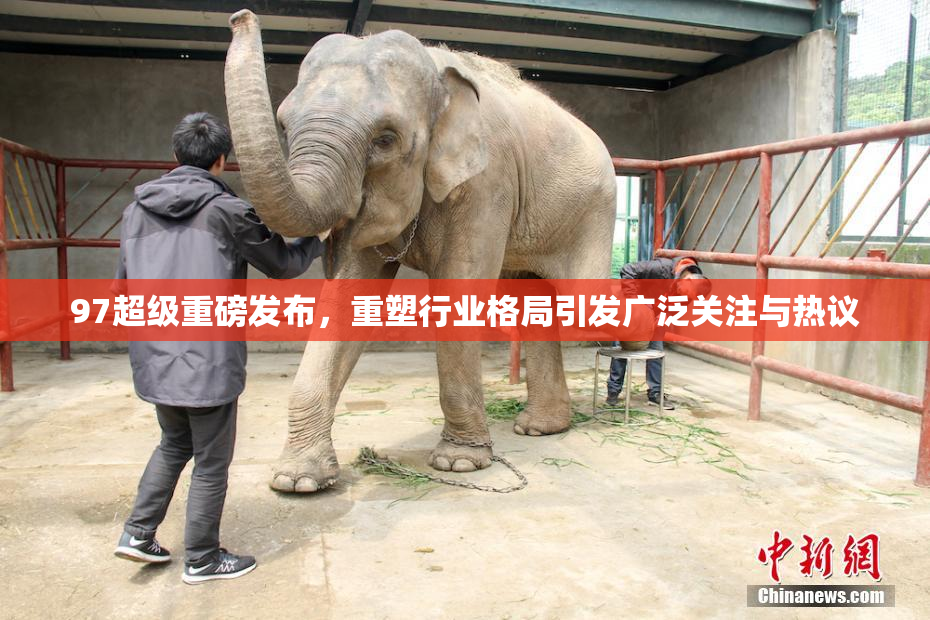 97超级重磅发布，重塑行业格局引发广泛关注与热议
