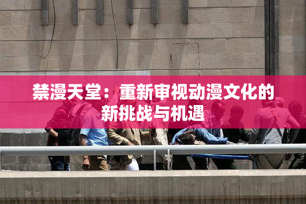 禁漫天堂：重新审视动漫文化的新挑战与机遇