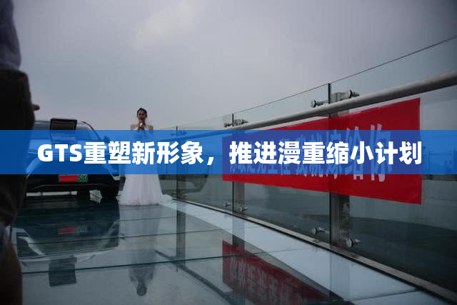 GTS重塑新形象，推进漫重缩小计划